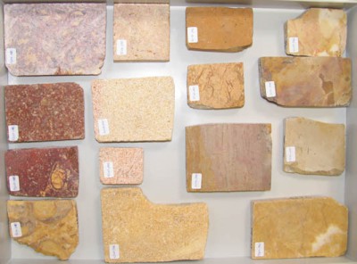 Plaques de la col·lecció de referència de la UEA de pedres ornamentals procedents de l’àrea de Tarragona.