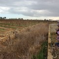Lectura de tesi: el paisatge cultural de la Plana de València Lectura de tesi: el paisatge cultural de la Plana de València