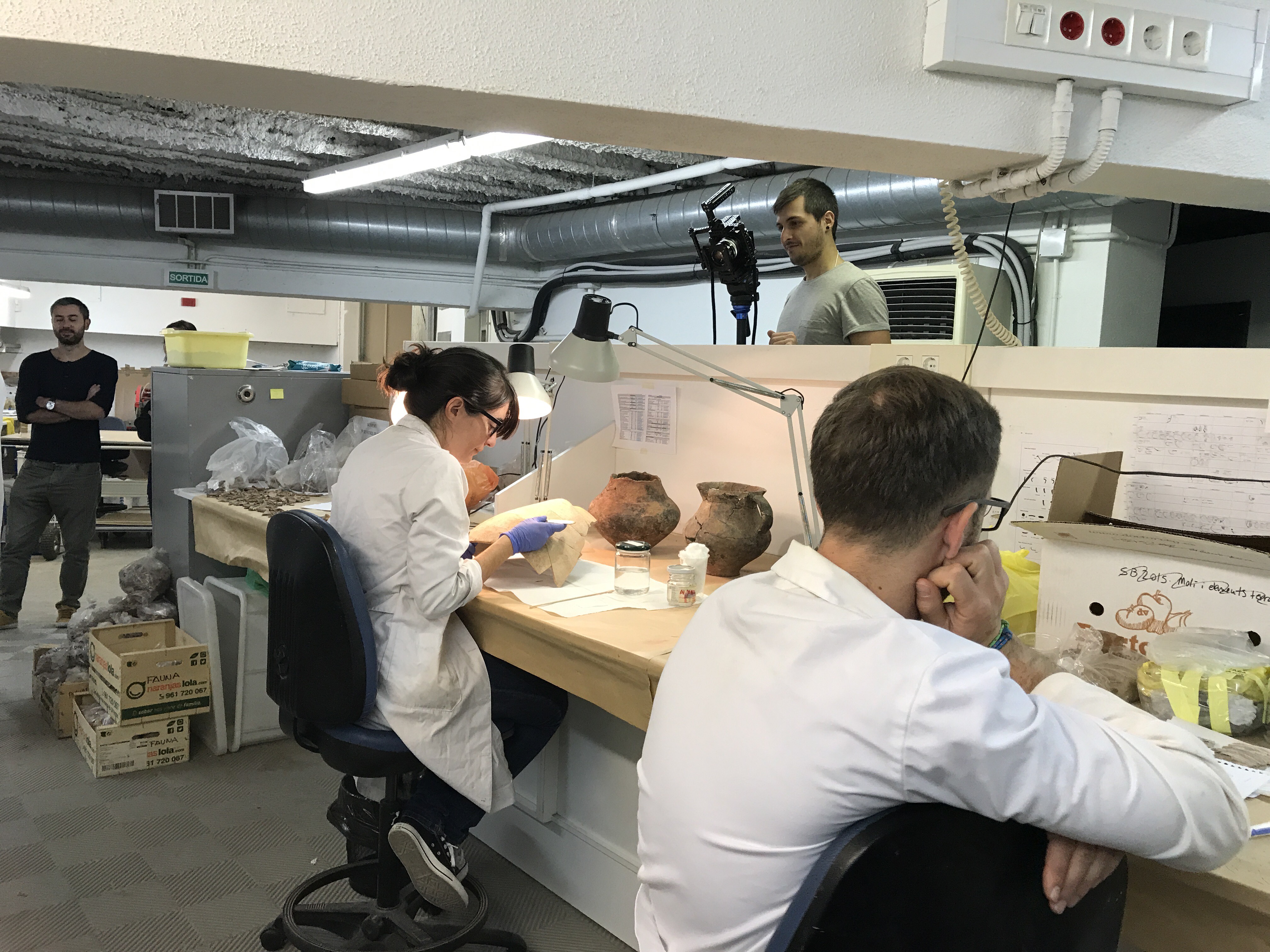 Investigadors treballant al laboratori de l'ICAC. Imatge d'arxiu (© Projecte Digibers)