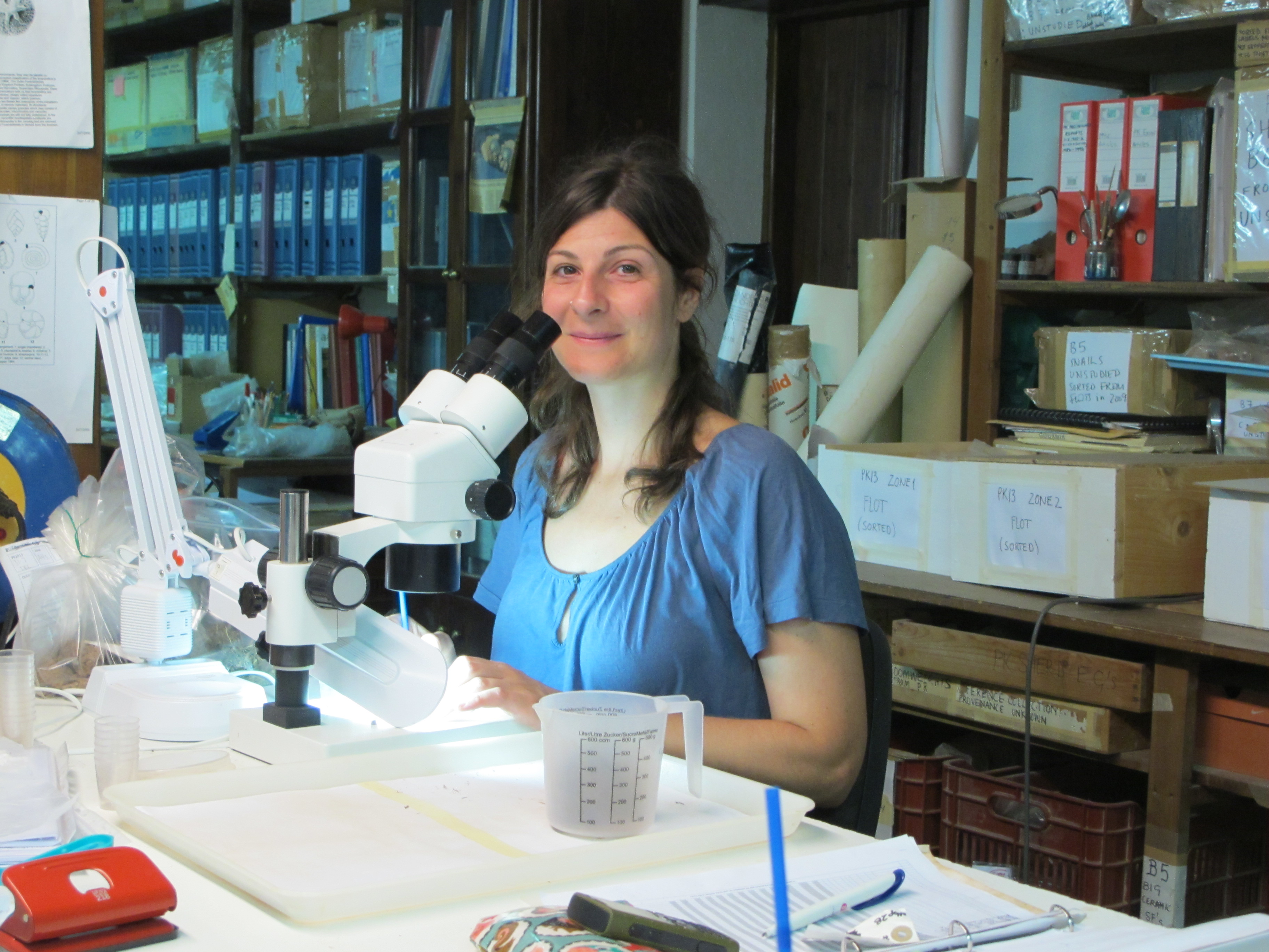 Dr Livarda working at the BSA headquarters at Palaikastro, Crete (@ A. Livarda)